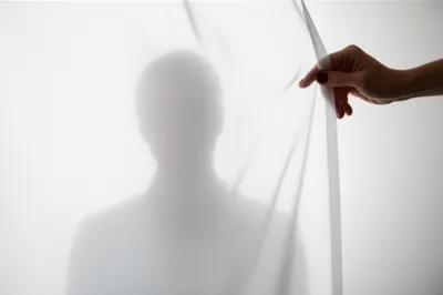 Illustration identify - Image 1