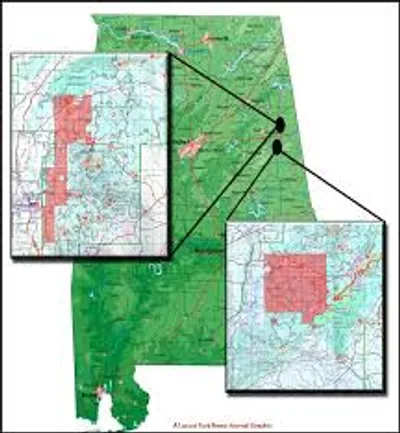 Illustration elaborate - Image 3