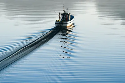 Illustration trawl - Image 1