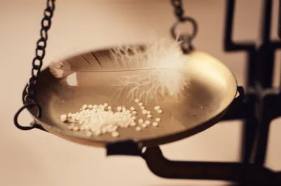 Illustration mites - Image 1