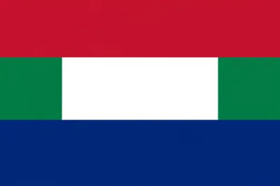 Illustration flag - Image 1