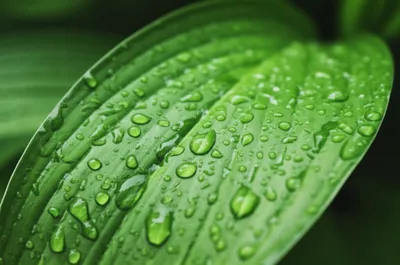 Illustration saturated - Image 1