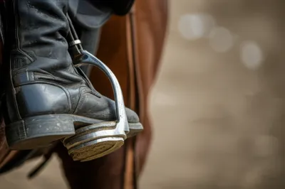 Illustration stirrups - Image 1