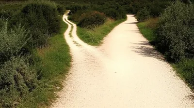 Illustration resultant - Image 1