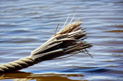 Illustration twines - Image 1