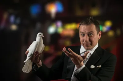 Illustration boggles - Image 1