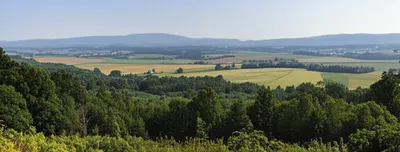 Illustration sticks - Image 1