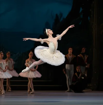 Illustration principal - Image 1