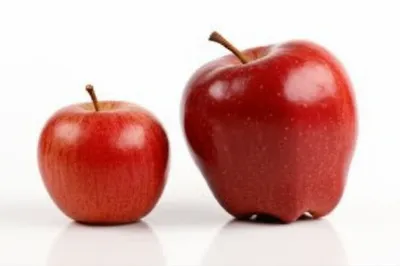 Визуальная иллюстрация слова «smaller» - Меньше, меньше по размеру