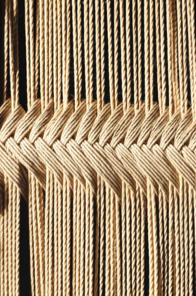 Illustration lay - Image 1