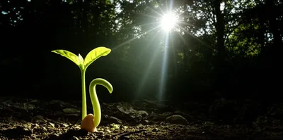 Illustration awakens - Image 1