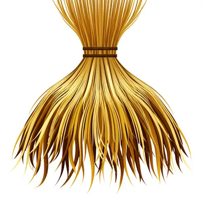 Illustration thatch - Image 1