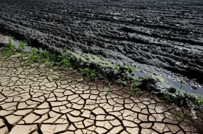 Illustration gumbo - Image 1