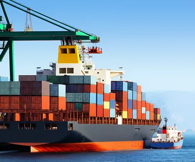 Illustration tranship - Image 1