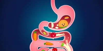 Illustration digested - Image 1