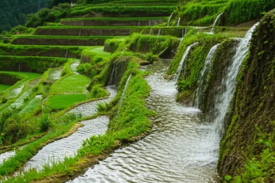 Illustration drills - Image 1