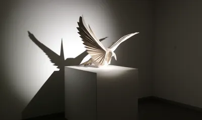 Illustration presenting - Image 1