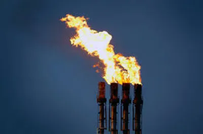 Illustration sour - Image 2