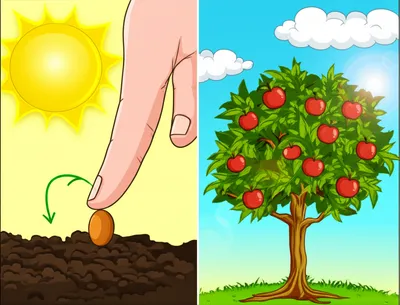 Illustration beforehand - Image 1