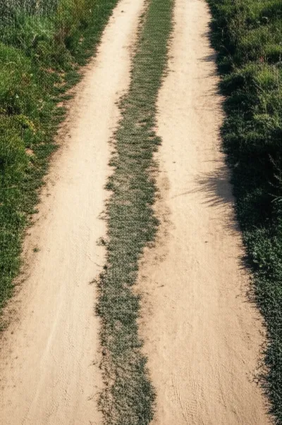 Hình ảnh minh họa deviant - Ảnh 1