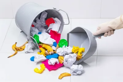 Illustration mullock - Image 1