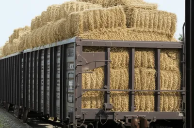 Illustration carrs - Image 1