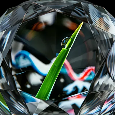 Illustration detailing - Image 1