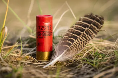 Illustration gage - Image 1