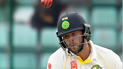 Illustration cocoanuts - Image 1