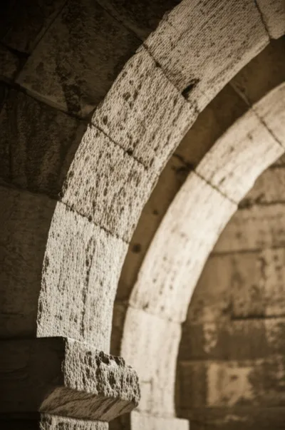 Illustration springer - Image 1