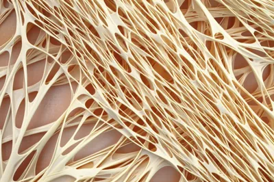 Illustration bread - Image 1