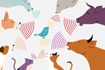 Illustration vocalises - Image 1