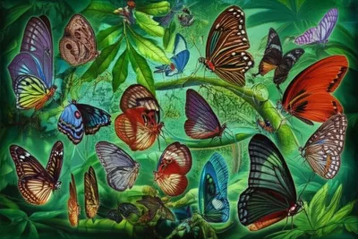 Illustration viscount - Image 1