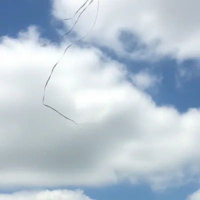 Illustration loses - Image 1