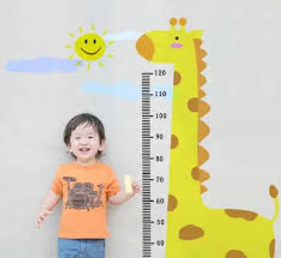 Illustration standard - Image 3