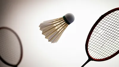 Illustration shuttlecock - Image 1