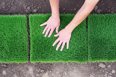 Illustration turfs - Image 1