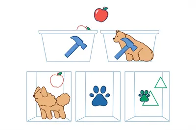 Illustration categorize