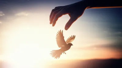 Illustration quit - Image 1