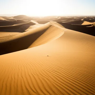 Illustration trifle - Image 1