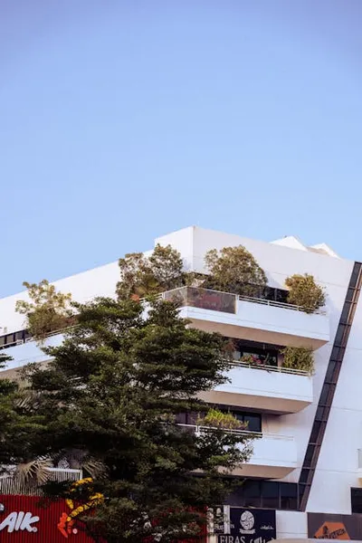 Illustration terraces - Image 2