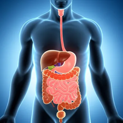 Illustration insides - Image 1