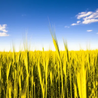 Illustration promising - Image 1