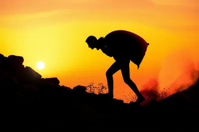 Illustration lugged - Image 1