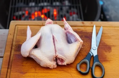 Illustration spatchcocking