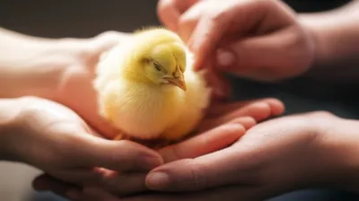 Illustration tick - Image 1