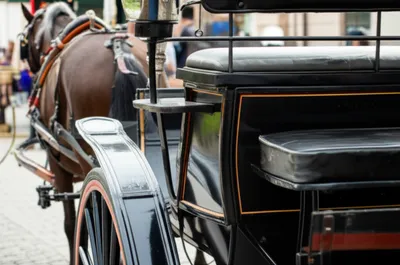 Illustration rumble - Image 1