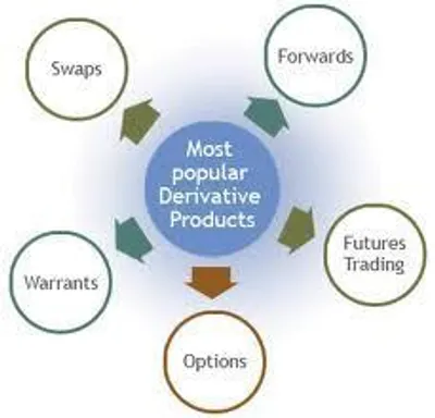 Illustration derivative - Image 4