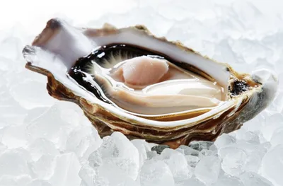 Illustration shelled - Image 1