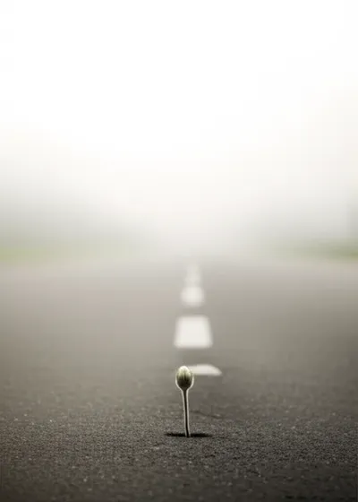 Illustration infinitive